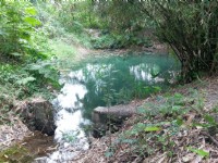 1號湧泉池擁著「藍色的眼淚」之美名<br/> 攝影：Eva隨手拍