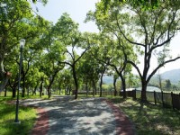 坪林森林公園<br/> 攝影：台中觀光旅遊網 提供