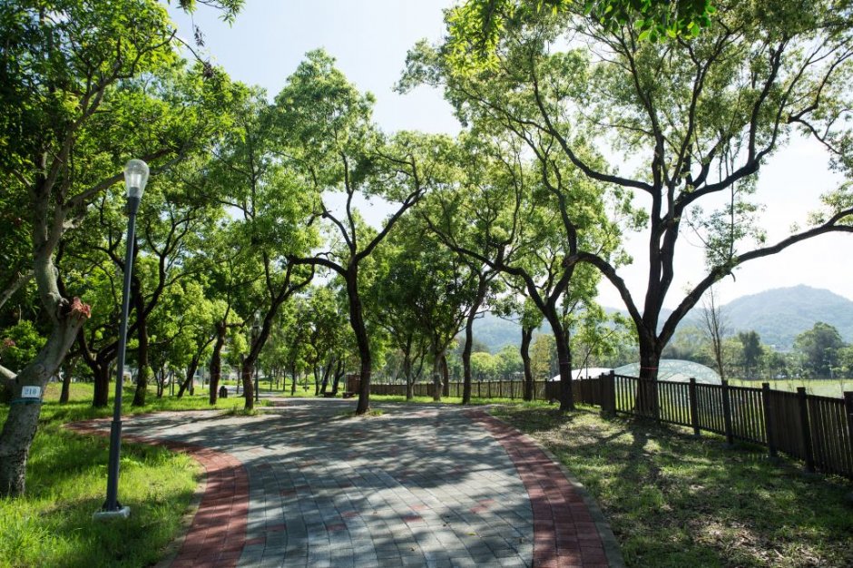 坪林森林公園 攝影：台中觀光旅遊網 提供