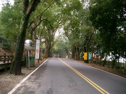 綠色走廊一景 攝影：eva隨手拍