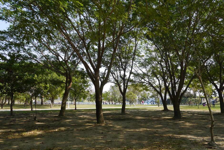 台南都會公園 攝影：旅遊王攝影組