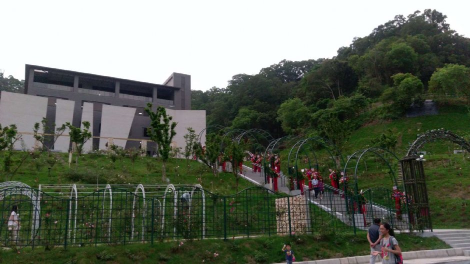 雅聞七里香玫瑰森林 攝影：Eva隨手拍