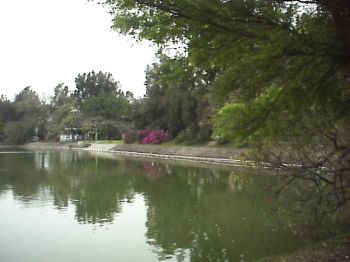 幽靜湖面 攝影：郭香妙