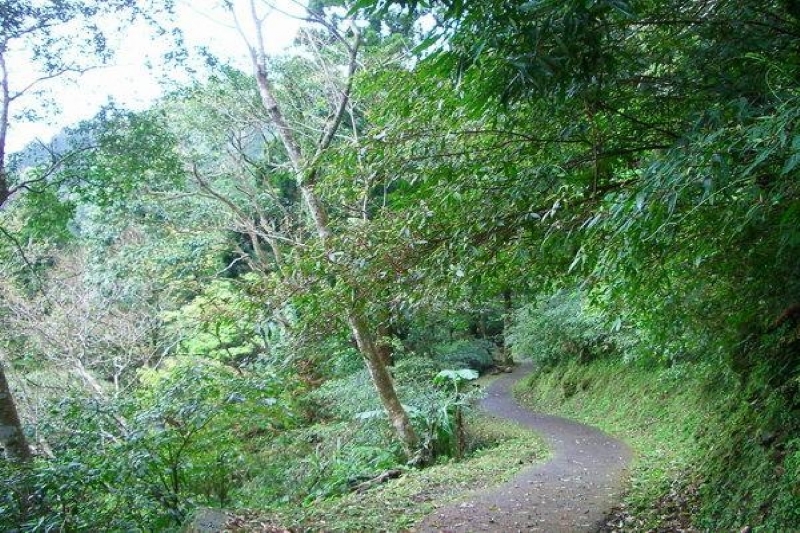 森林步道 攝影：老山羊部落格