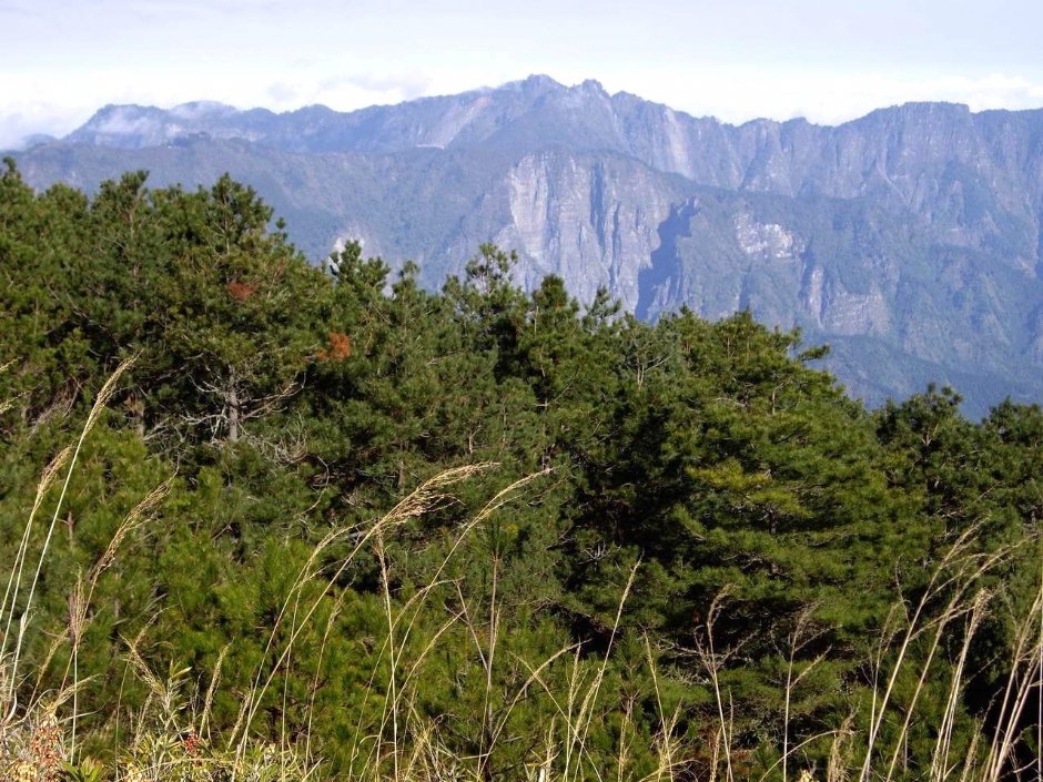 阿里山山脈 攝影：老山羊資訊網