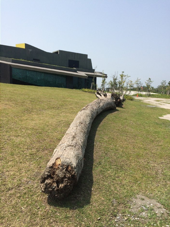 壯圍沙丘旅遊服務園區 攝影：Eva隨手拍