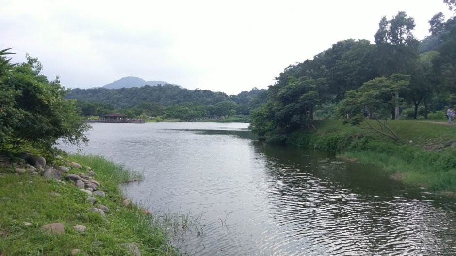 佔地廣大的生態湖 攝影：Eva隨手拍