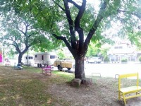 新營美術園區<br/> 攝影：Eva隨手拍