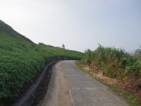 富貴角步道<br/> 攝影：Eva隨手拍