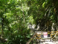 砂卡礑步道201607<br/> 攝影：旅遊王攝影組