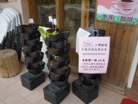 新化植物园立体植栽示范<br/> 摄影：旅遊王攝影組