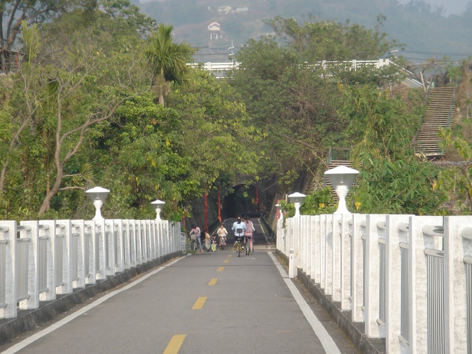 森林隧道 攝影：陳美吟
