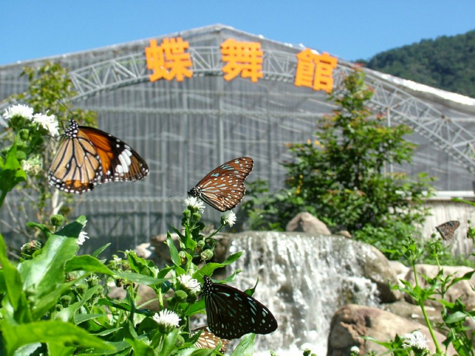 蝶舞館 攝影：埔里楓樺台一渡假村