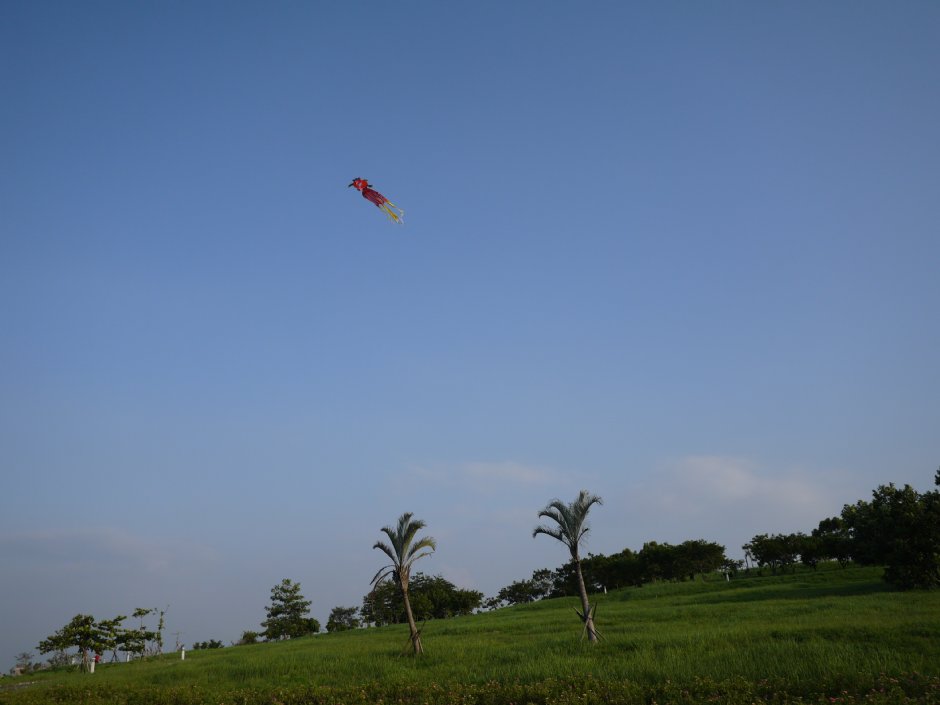 高雄都會公園 攝影：三個井