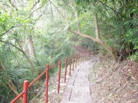 森林步道<br/> 攝影：Eva隨手拍