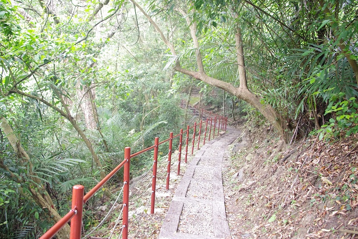 森林步道 攝影：Eva隨手拍