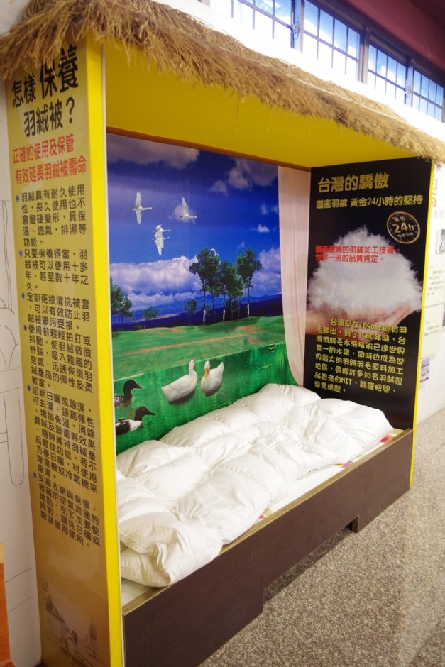 博士鴨觀光工廠 攝影：Eva隨手拍
