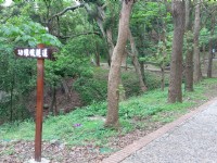 往功維敘隧道之指標<br/> 攝影：Eva隨手拍