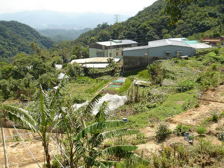 白石湖地区 摄影：陳美吟