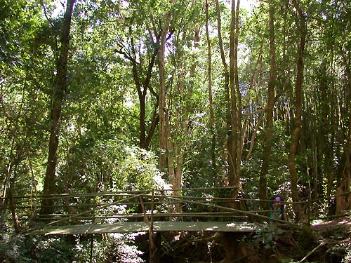 竹橋 攝影：阿英的登山小站