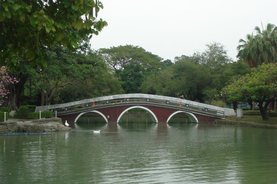 台中公園 攝影：meiyin