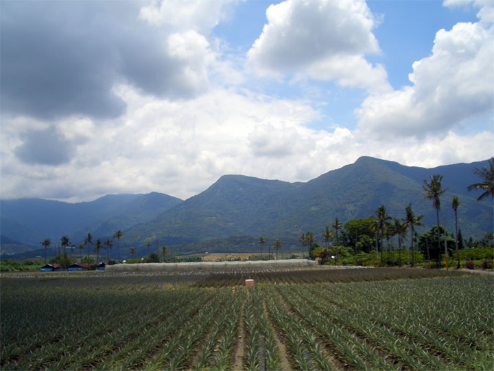 14-屏東-185沿山公路 攝影：王世傳