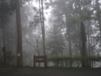 大學池<br/> 攝影：三井