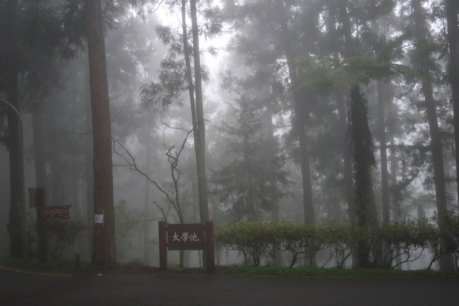 大學池 攝影：三井