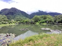 羅山大魚池 (2021.08 攝)<br/> 攝影：Louis