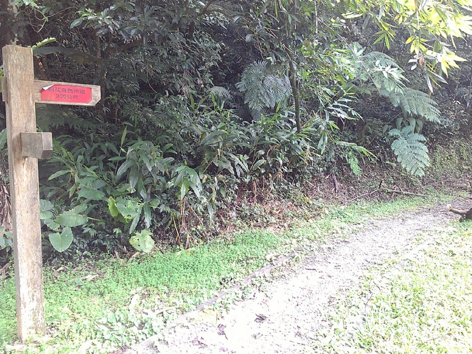 富民親水公園 攝影：Eva隨手拍