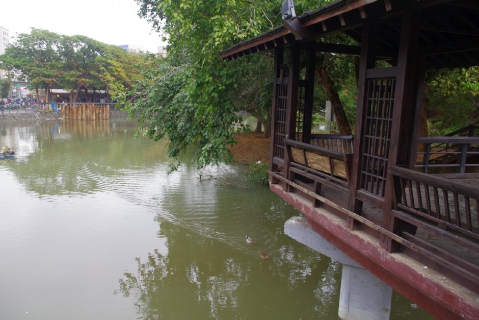 新竹公園 攝影：Eva隨手拍