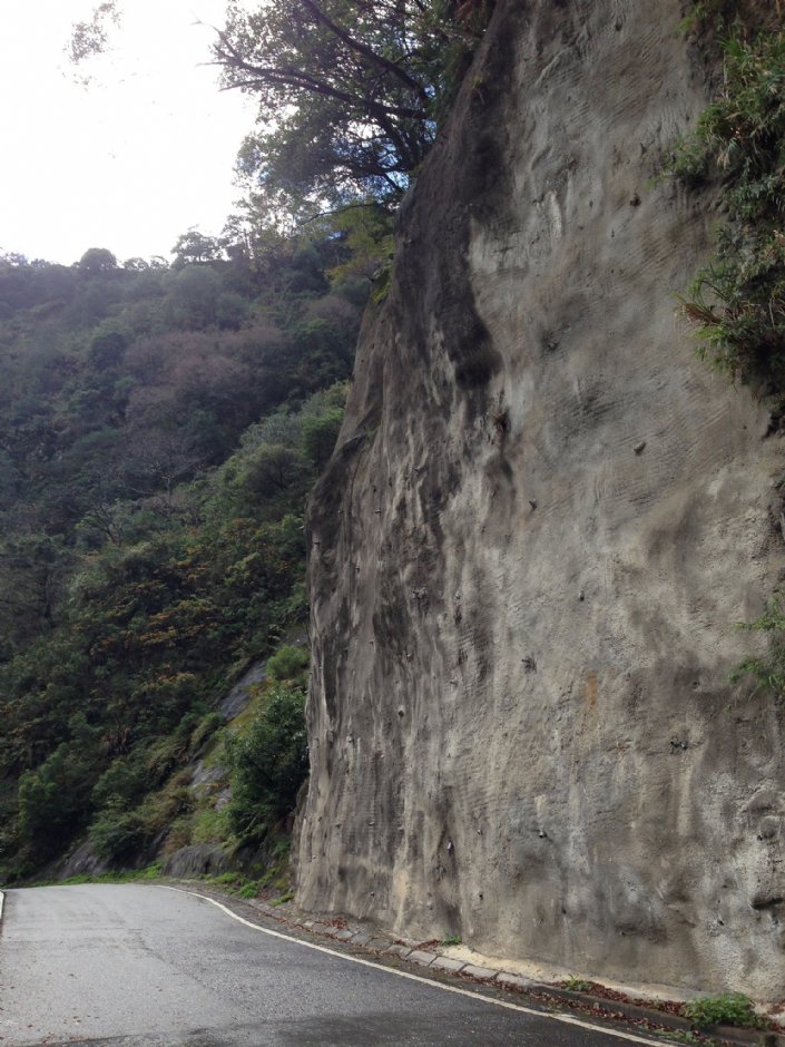 南橫公路海端鄉路段 攝影：林錦萍