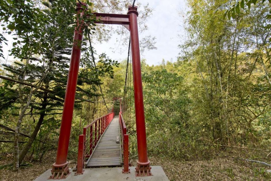 虎形山公園 攝影：照片來源_台南市觀旅局