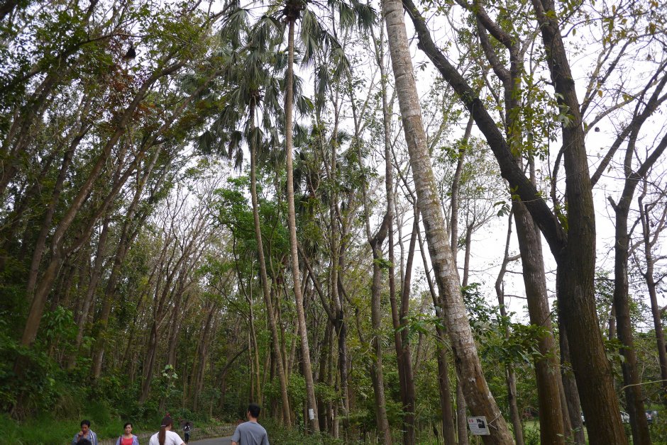 新化植物园 摄影：旅遊王攝影組