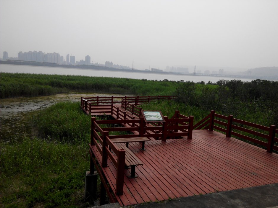 社子島濕地 攝影：Lu