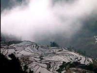 紅河哈尼梯田01<br/> 攝影：馮順