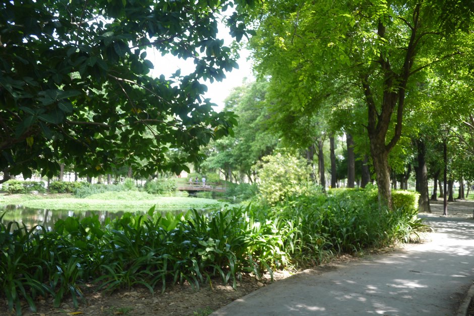 大東濕地公園 攝影：旅遊王攝影組