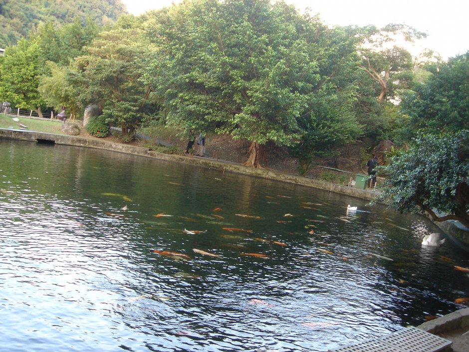 至善園 攝影：余燕鳳