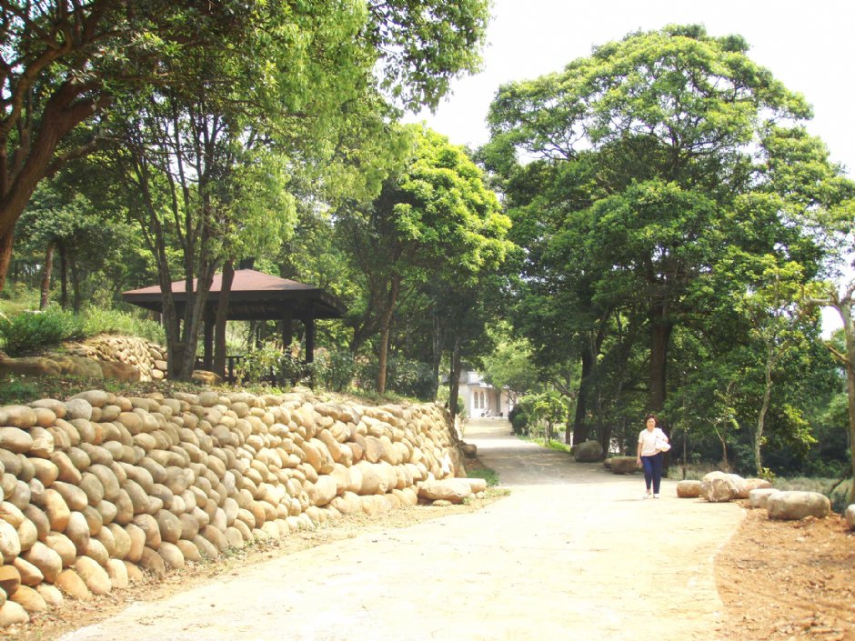 寬闊的路面 攝影：鄭瑄頤