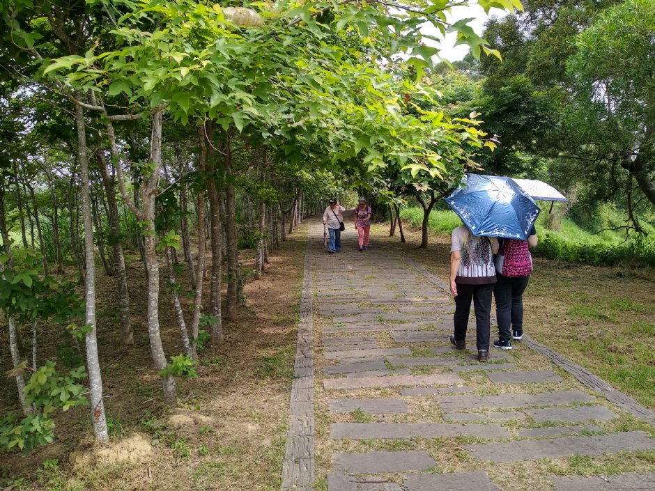 青青草原 摄影：Lu