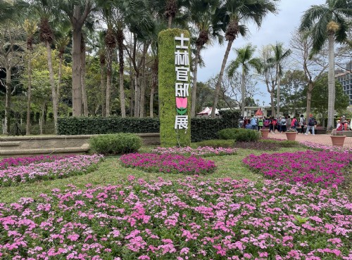 士林官邸公園-2021士林官邸鬱金香展