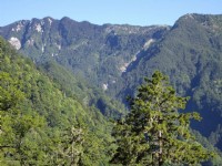 眺望山峰<br/> 攝影：老山羊資訊網