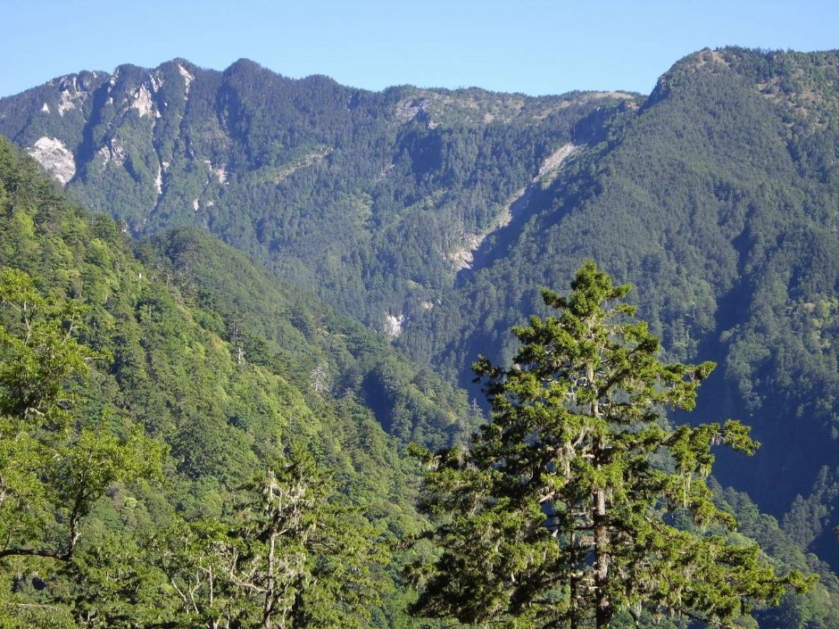 眺望山峰 攝影：老山羊資訊網