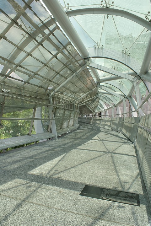 板橋遊龍-府中景觀陸橋 攝影：Eva隨手拍