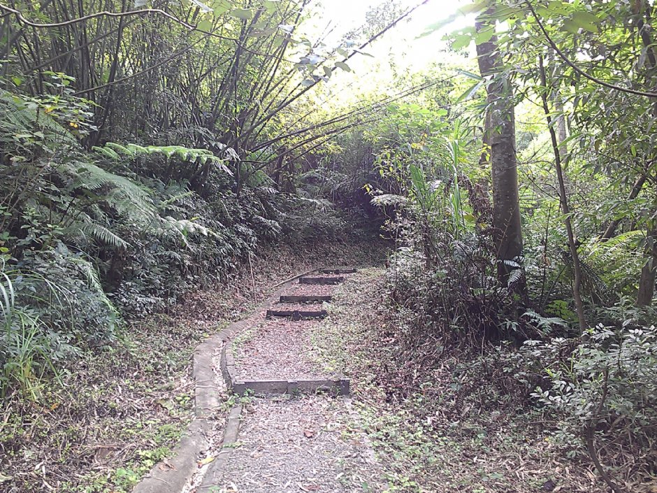 富民親水公園 攝影：Eva隨手拍