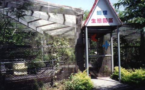 木生昆蟲館一景 攝影：南投縣政府