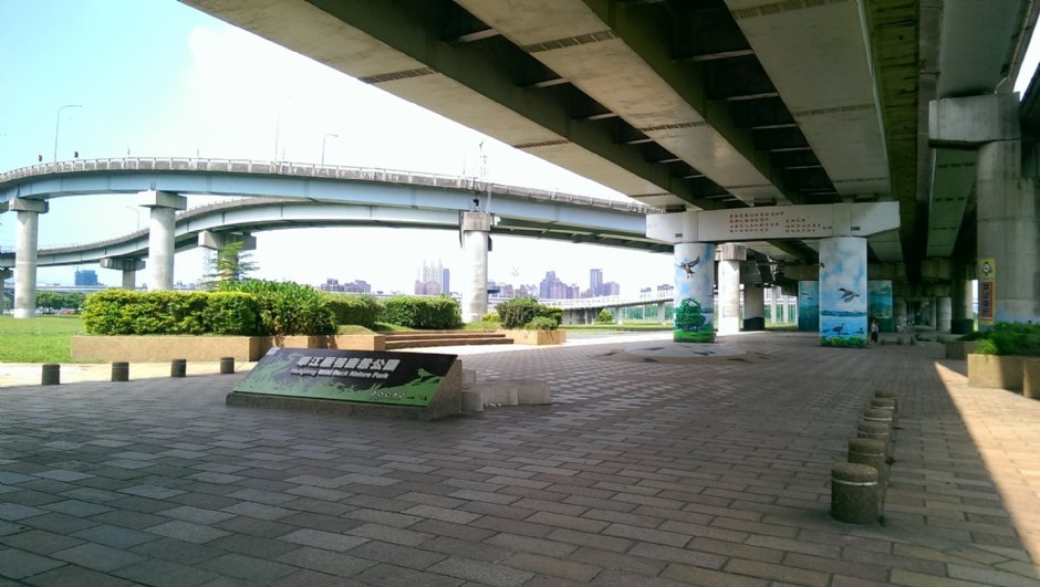 華江雁鴨自然公園 攝影：Eva隨手拍