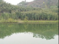 淯江漂流-04<br/> 攝影：<a href=http://upts.network.com.tw/ target=blank>星盟旅行社</a>