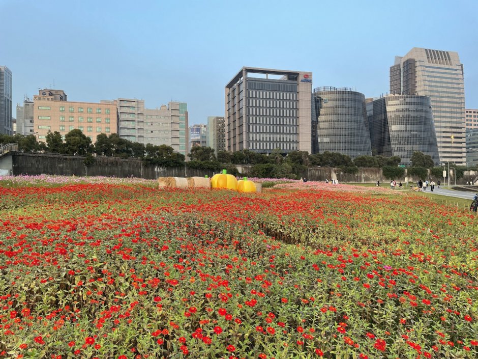 美堤河濱公園(2021年花海) 攝影：Eva隨手拍
