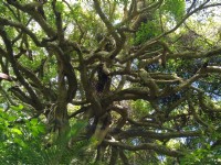 鶯山森林文化博物館<br/> 攝影：Lu